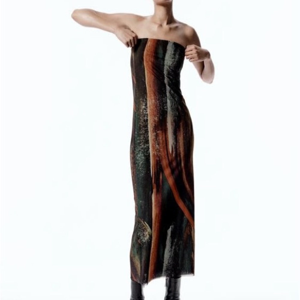 Zara Abstract Printed Tulle Strapless Dress 5039/819 Large NWT!